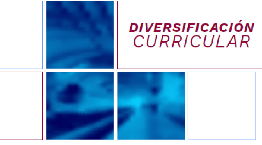 Orientaciones Curriculares